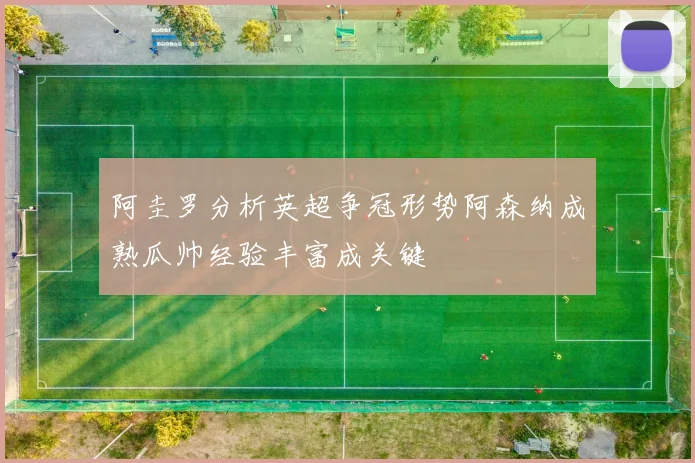 阿圭罗分析英超争冠形势阿森纳成熟瓜帅经验丰富成关键