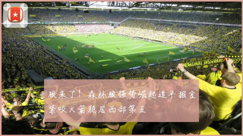狼来了！森林狼强势崛起追平掘金紧咬火箭稳居西部第五