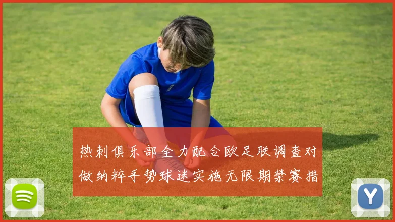 热刺俱乐部全力配合欧足联调查对做纳粹手势球迷实施无限期禁赛措施