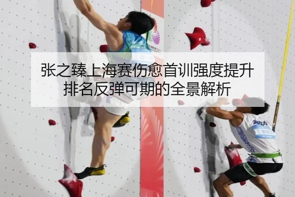 张之臻上海赛伤愈首训强度提升 排名反弹可期的全景解析 | MKsports